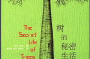 观花树，算命的 secrets you may not know