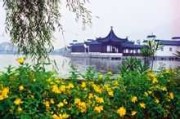 玉城馨苑诚心求签，探寻古韵的神秘之旅