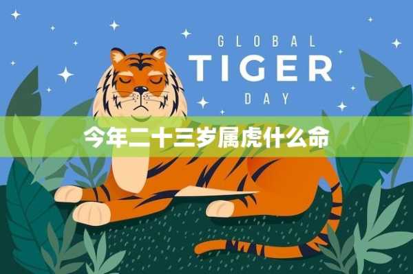 属虎明天运势解析，Tiger’s Day Ahead,属虎明天运势解析,Tiger’s Day Ahead,第1张
