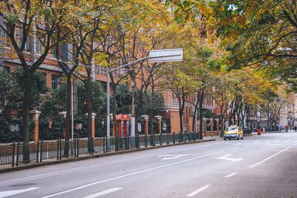 路边算命广告语，街头巷尾的神秘力量,命运,算命,神秘力量,第1张