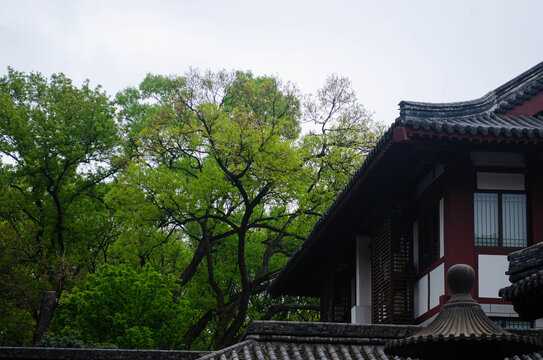 动土黄道吉日吉时，传统建筑与仪式中的重要时刻,吉时,健康状况,注意事项,第1张