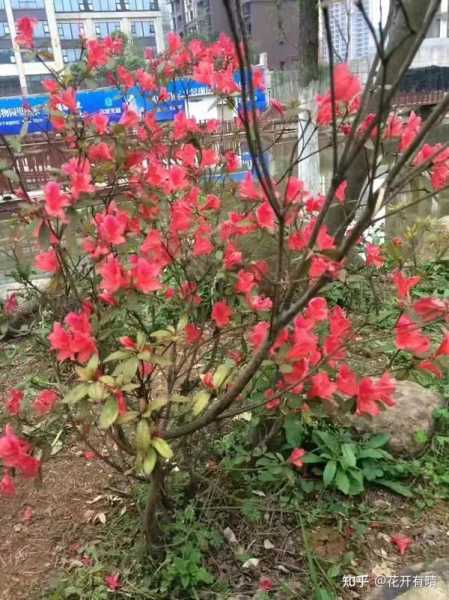 娶缘庙里不求签，解读民间婚姻的深层含义,吉时,求签,占卜,第1张