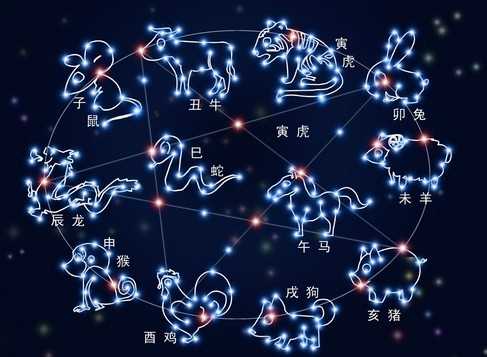 8月15号，12生肖运势解析，中元节与生肖的神秘联,命运,事业,挑战,第1张