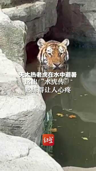 水里看到，解读潜藏的内心力量,象征,挑战,第1张