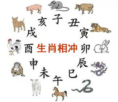 近一周生肖运势查询，运势解析与建议,事业,合作,第1张