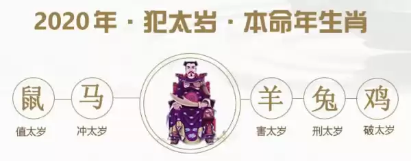 戌子年生肖运势查询，吉凶分析与建议,事业,合作,自我,第1张