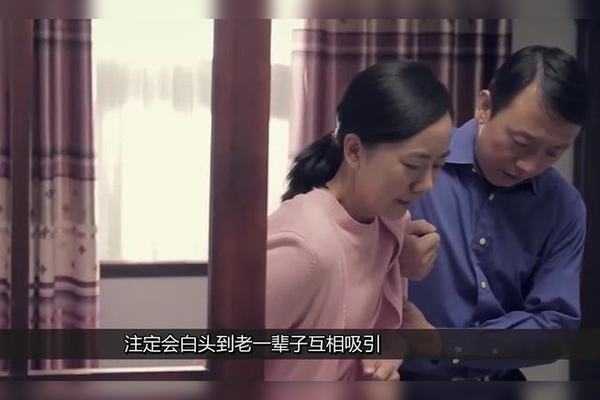 生肖狗与生肖鸡，运势解析与和谐共生之道,事业,挑战,美好,第1张