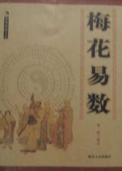 梅花算命，传统占卜文化中的智慧之光,象征,命运,事业,第1张