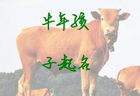 属牛男孩取名指南，如何为男宝宝起一个寓意深远的名字,象征,寓意吉祥,第1张