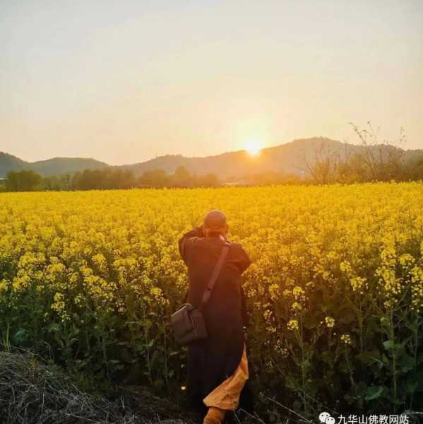 佛寺可不可以求签？现代生活中的灵性实践,挑战,文化传承,求签,第1张