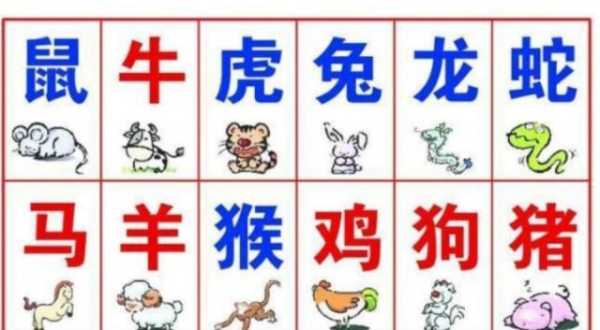 八字算命都看些什么内容,命运,事业,挑战,第1张