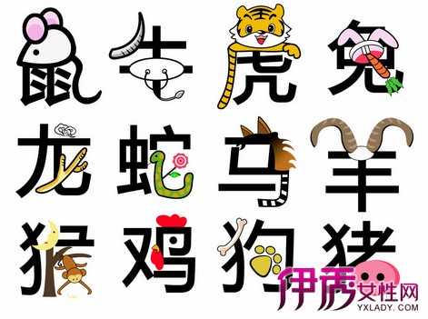 十二生肖六日运势分析表,命运,事业,时光,第1张