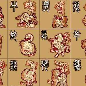 2017年十二生肖运势解析，事业与健康的新机遇,象征,事业,挑战,第1张