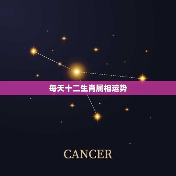 十二生肖3日运势图解，解析每日运势与建议,事业,挑战,合作,第1张