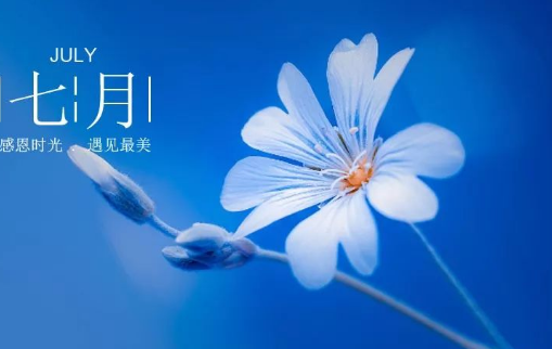 七月十二,双子座与射手座的奇妙碰撞,挑战,合作,星座,第1张 七月十二,双子座与射手座的奇妙碰撞,挑战,合作,星座,第1张