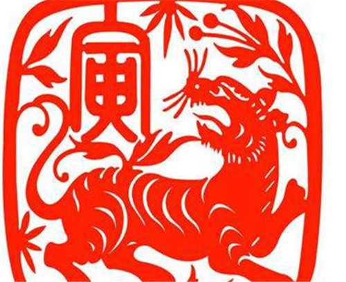 为什么属虎人不被算命？揭秘属虎人命理的独特之处,象征,命运,挑战,第1张