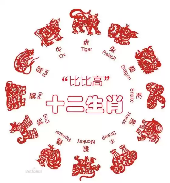 十二生肖运势解析，今年各生肖的机遇与,象征,命运,事业,第1张