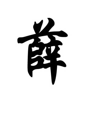 薛姓男孩取名技巧，传统与现代的结合,象征,命运,文化传承,第1张