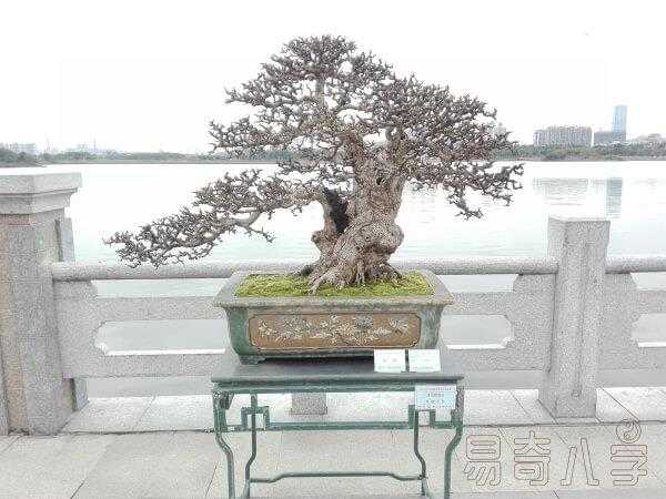 生肖2021运势，贵人运强劲，桃花运亨通,事业,希望,合作,第1张