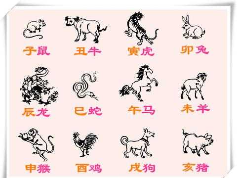 生肖鼠运势1984年女,象征,命运,事业,第1张