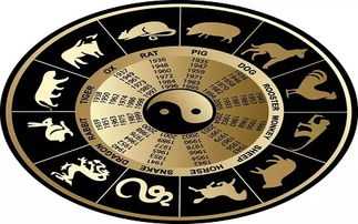 12生肖三合运势解析，如何解读占卜结果,象征,命运,第1张