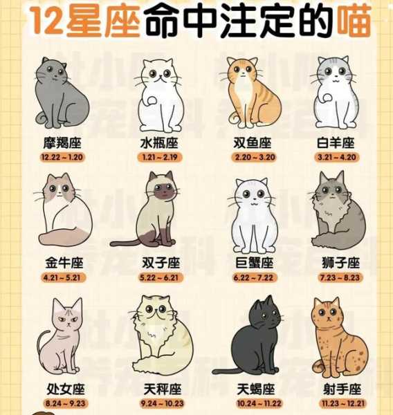 十二星座都有什么包包？星座与时尚的结合,象征,十二星座,星座,第1张