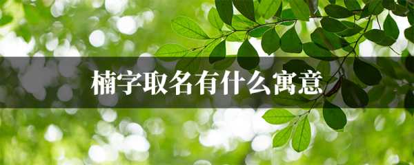 艺楠这个名字，寓意美好，寓意深远,象征,事业,光明,第1张