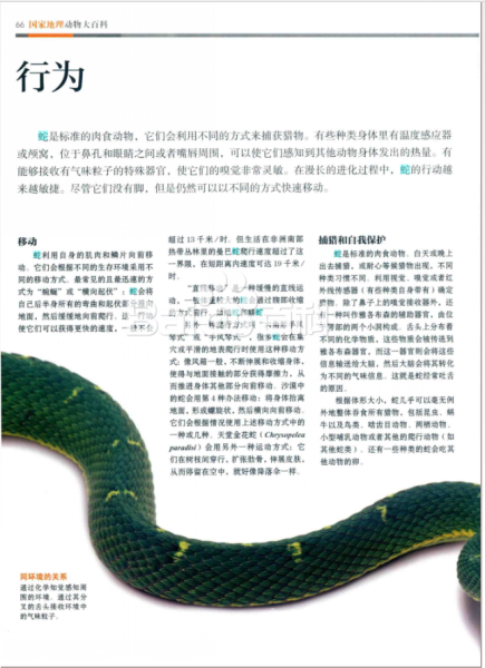 上坡蛇，解读与解梦解析,象征,挑战,解梦,第1张