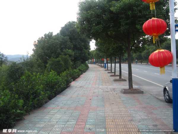 路边的白狐，预兆与解梦的启示,象征,挑战,解梦,第1张