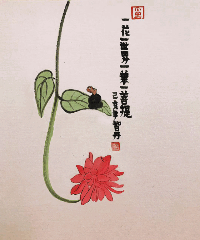 佛家看，一花一，一叶一菩提,命运,气场,风水布局,第1张
