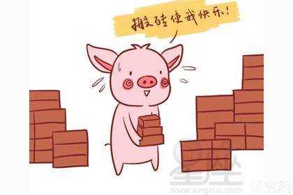 会算命的猪猪是什么生肖？,象征,命运,事业,第1张