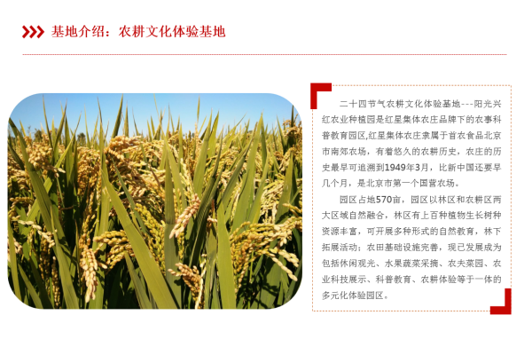 二十四吉时，农耕文明的智慧之光,吉时,文化传承,文化智慧,第1张