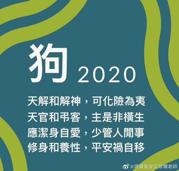 今年生肖狗运势分析，狗年运程全解析,象征,事业,挑战,第1张
