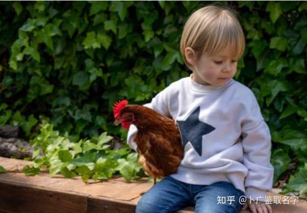 源字牛宝宝取名怎么样，传承与成长的象征,象征,文化传承,宝宝取名,第1张