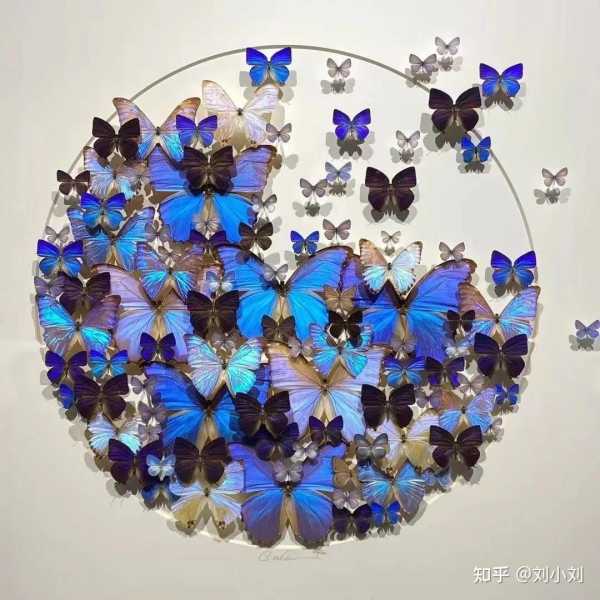 若安,温柔与希望的象征,象征,希望,美好,第1张 若安,温柔与希望的象征,象征,希望,美好,第1张