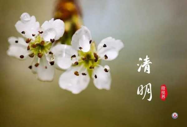 二月初明节出行吉时解析,吉时,光明,传统习俗,第1张