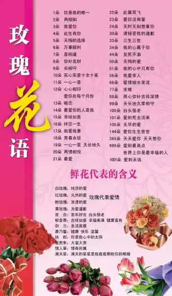 今日玫瑰花生肖运势，花语与 Compatibility分析,象征,挑战,合作,第1张