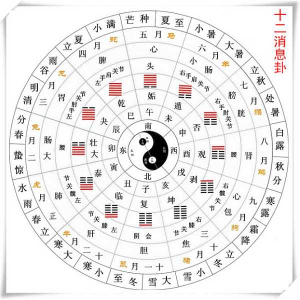 凶吉时辰，解读命理学中的神秘时间,命运,事业,八字,第1张