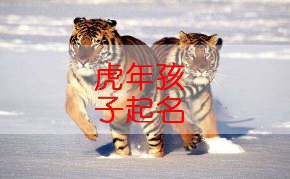 姓刘虎男宝宝取名字，传统与现代的结合,象征,宝宝取名,传统与现代,第1张