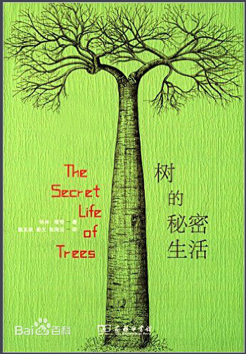观花树，算命的 secrets you may not know,象征,命运,事业,第1张