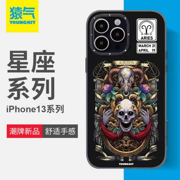 十二星座壳塞什么，星座与壳的奇妙搭配,象征,挑战,十二星座,第1张