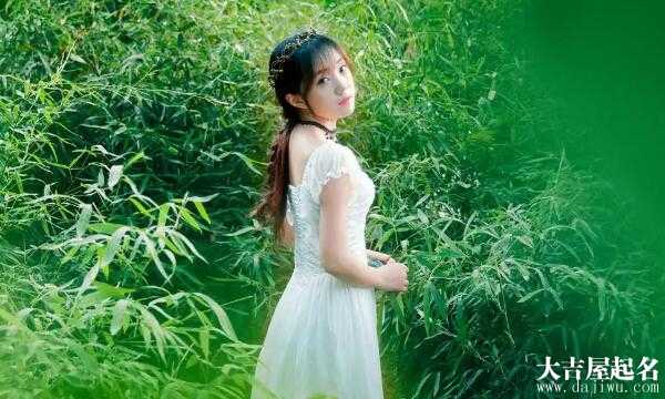 精致求签网名，优雅与神秘的结合,象征,命运,自我,第1张