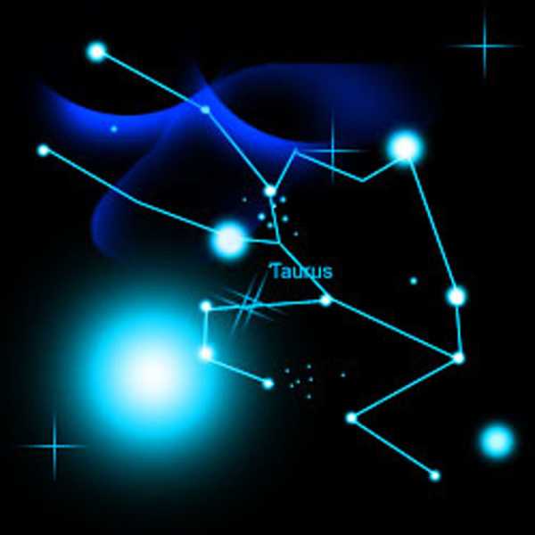十二星座能吃什么动物呢？,象征,十二星座,能量,第1张