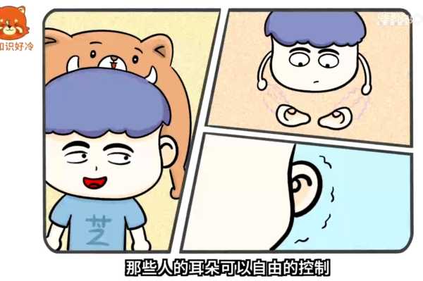耳朵动了，你的健康有问题了吗？,吉凶,健康状况,耳朵,第1张