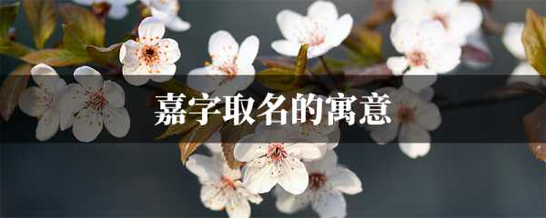 嘉字取名牛宝宝，寓意美好与,象征,命运,宝宝取名,第1张