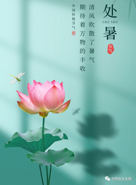 处暑前后，生肖运势如何？,挑战,合作,吉凶,第1张