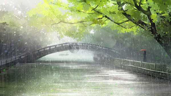 雨里捡到猴子，预兆与解梦解析,象征,解梦,第1张
