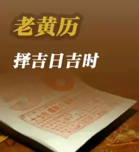 今日生肖运势解析，吉时与注意事项,吉时,注意事项,认可,第1张