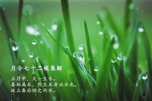 久旱迎春雨中的数字,象征,希望,第1张