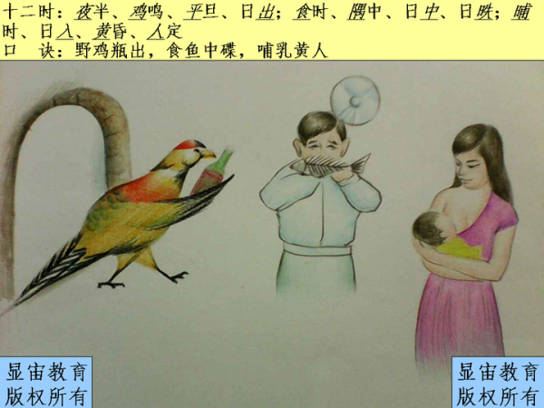 十二岁，不应该有命，不应该有运，不应该有福，不应该有劫，不应该有情，不应该有缘，不应该有劫数，不应该有宿命,命运,八字,算命,第1张
